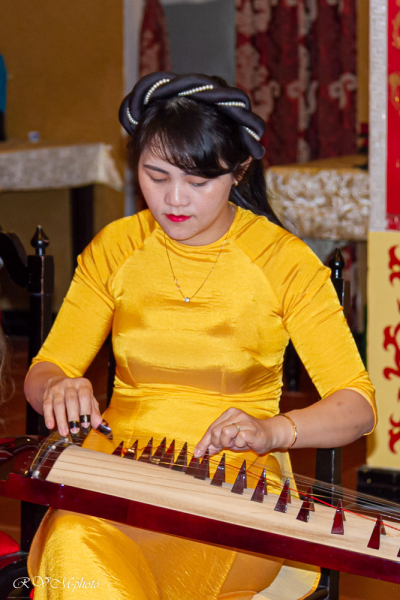 Joueuse de Đàn tranh, Vietnam