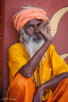 Un prêtre Indou à Birkaner, Inde