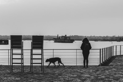 Contre-jour