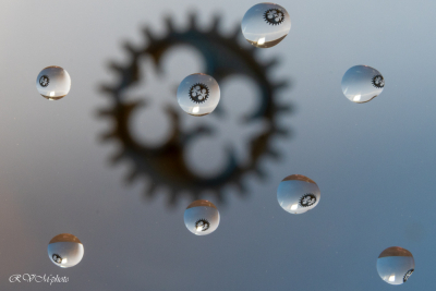 Gouttes et reflets