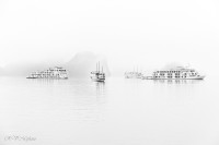 Tourisme de masse en baie d'Halong
