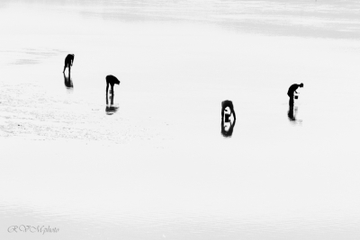 Peche à pieds