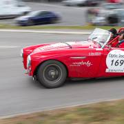 AUSTIN HEALEY 100 M 1954