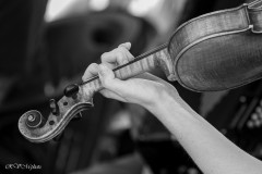 La main de la violoniste