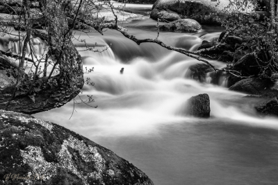 L'Aven à Pont-Aven