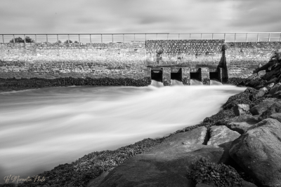 Pose_longue_au_moulin_du_Plessis_Lanester-190508-IMG_1987