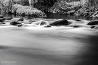 Le Scorff à Pont-Scorff