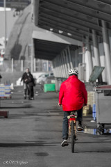 Rouge (Port de pêche, Lorient)