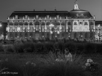Devant le musée des douanes, Bordeaux