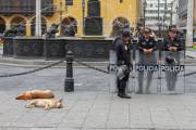 Repos pour tous (Lima Pérou)