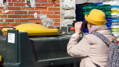 Jaune (Port de pêche, Lorient)