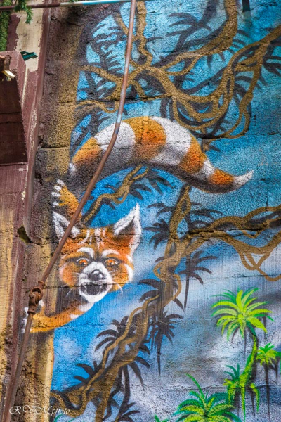 Le monde de Kaz et Ezra (Détail), Lorient