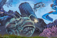 Monde sous-marin, Keroman, Lorient