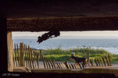 Vue sur la mer depuis un blockhaus à Gâvres