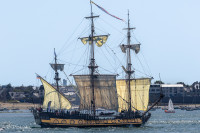 La frégate Shtandart, Semaine du Golfe