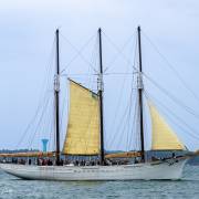 La goelette Pascual Flores, Lorient Océans