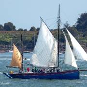 Pecheur cotier, Semaine du Golfe