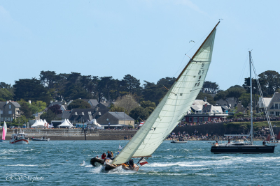 Semaine du Golfe