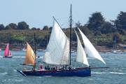 Pecheur cotier, Semaine du Golfe