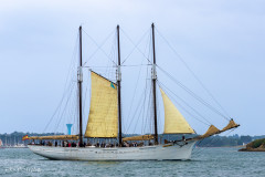 La goelette Pascual Flores, Lorient Océans