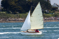 Dériveur, Semaine du Golfe