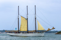 La goelette Pascual Flores, Lorient Océans