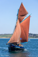 Le cotre sablier Dalh Mad, Douarnenez 2024