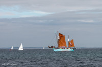 La vaquelotte Reine des flots, Gâvres