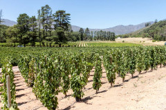 Capetown - Afrique du sud