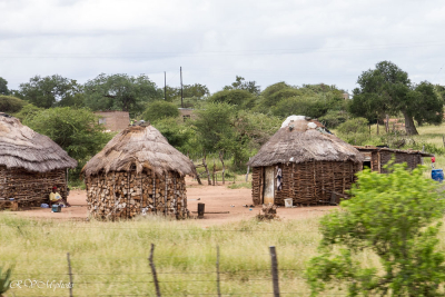 Cases zoulous, Afrique du Sud