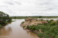 Parc Kruger - Afrique du sud