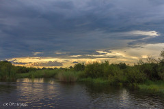 Zambèze - Zimbabwe