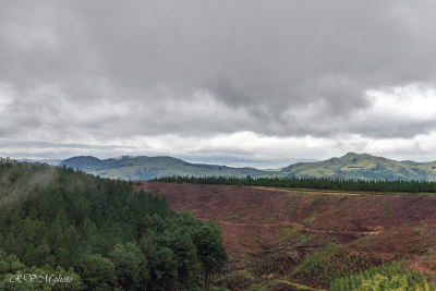 Swaziland
