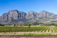 Capetown - Afrique du sud