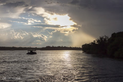 Zambèze - Zimbabwe