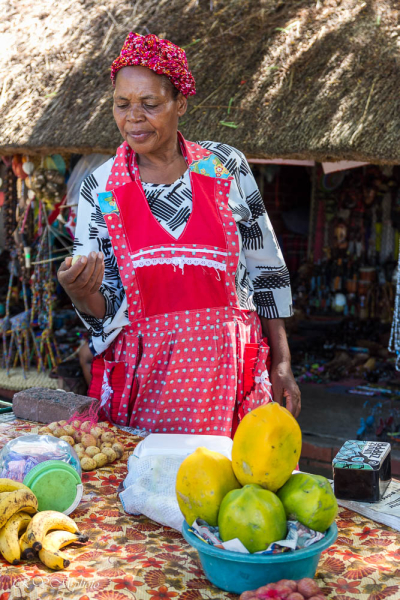 Afrique du sud