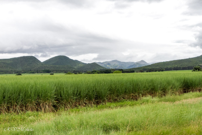 Swaziland