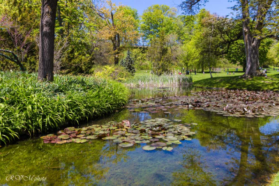 Loin du bruit, Niagara, Canada