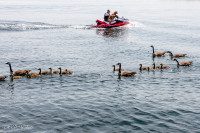 Les Mille-Iles, Canada