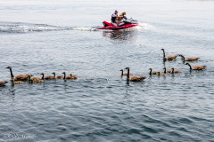 Les Mille-Iles, Canada