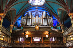 Mont-royal, Montréal, Canada
