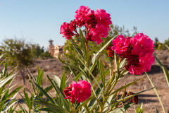 Tombeaux des rois, Paphos, Chypre