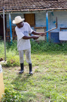 Tonte de l'herbe, Cuba