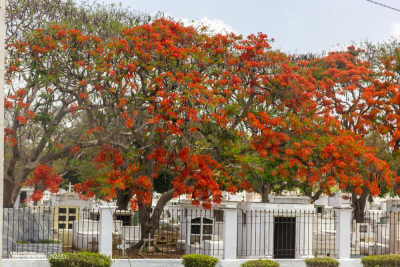 Las Tunas, Cuba