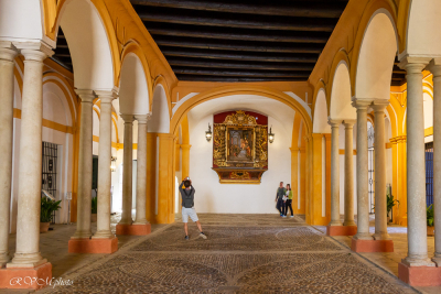 Alcazar Royal, Séville, Andalousie, Espagne
