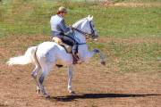 Andalou au pas Espagnol - Medina Sidonia