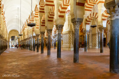 Cathédrale Mosquée - Cordoue