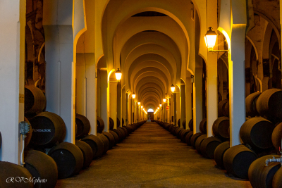 Caves de la bodega Fundador, Jerez, Espagne