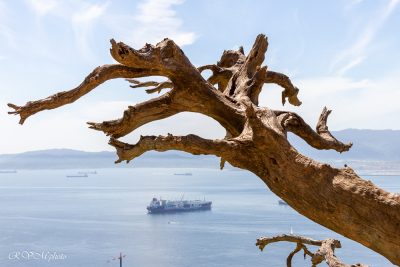La baie d'Algeciras, Gibraltar, Espagne