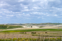 Près de Jerez de la Frontera